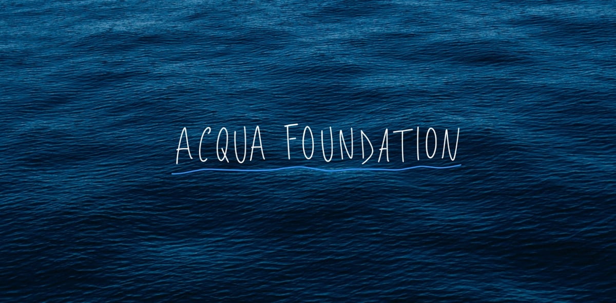 Acqua Foundation – Michael Wang